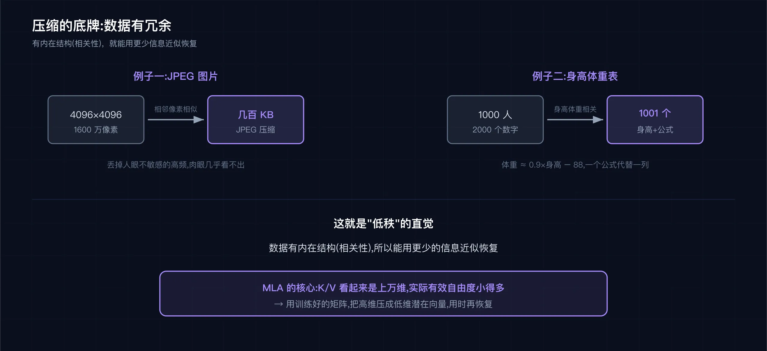 压缩的底牌是冗余:JPEG 丢高频、身高体重用公式