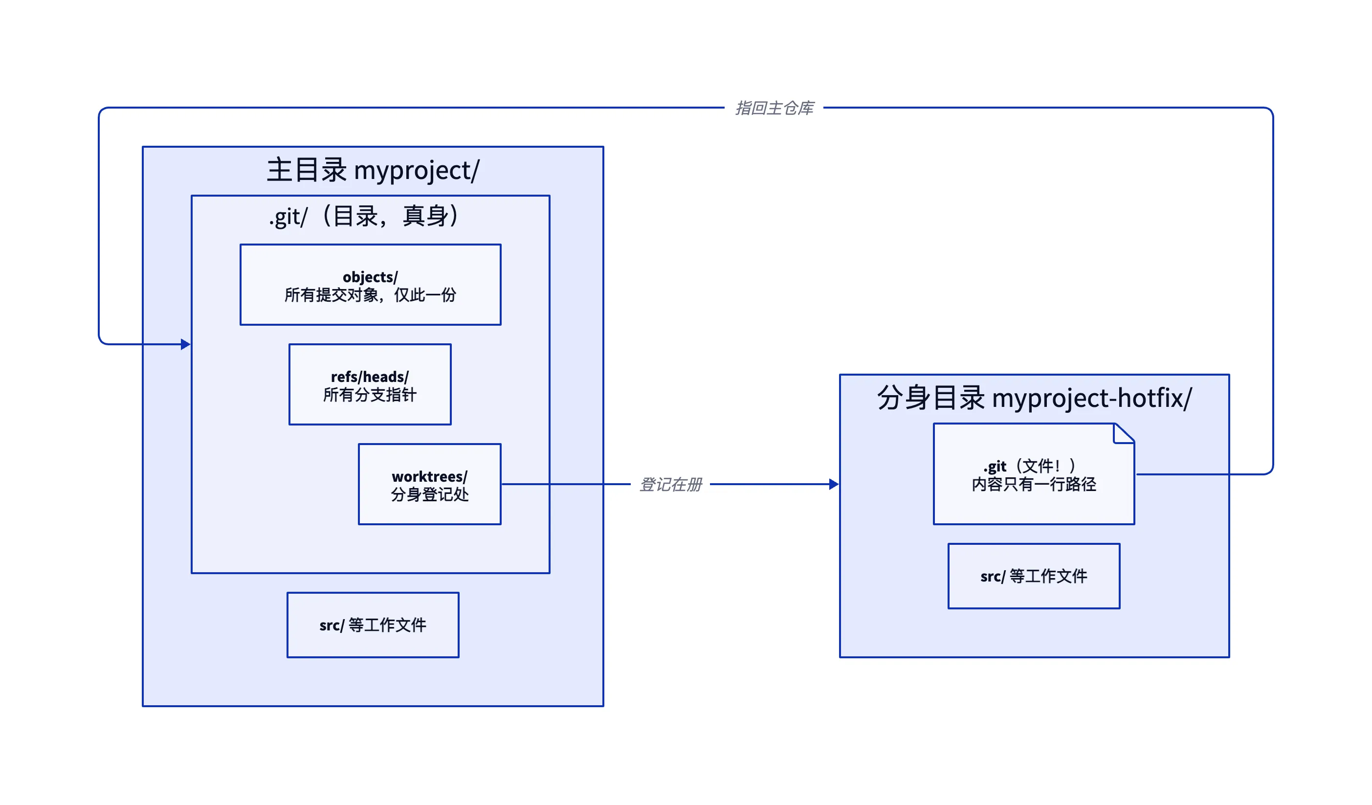 worktree 物理文件结构：主工作区的 .git 是包含 objects、refs、worktrees 登记的目录，分身目录的 .git 只是一行路径的文件，指回主仓库